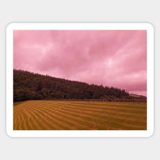 Landscape Photography Sticker